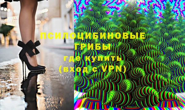 гашик Гусиноозёрск