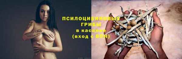 соль курить ск Гусь-Хрустальный