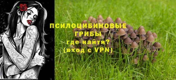соль курить ск Гусь-Хрустальный