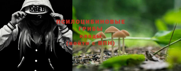 гашик Гусиноозёрск