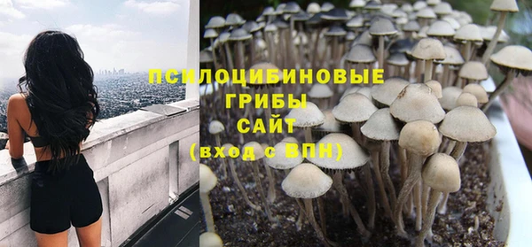 гидра Дмитровск