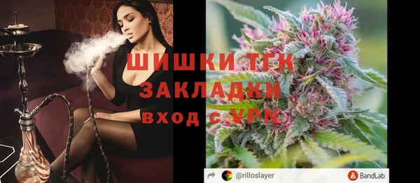 спиды Гусев