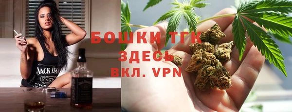 гашик Гусиноозёрск