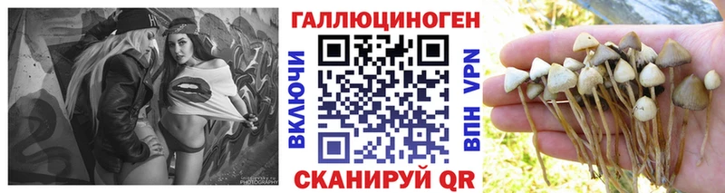 Псилоцибиновые грибы ЛСД  купить  цена  Якутск 